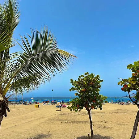 Juan Xxiii Lejlighed *